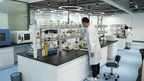 三八節(jié)化妝品網(wǎng)絡(luò)零售額超2.5億元，濟南高新區(qū)美妝產(chǎn)業(yè)再創(chuàng)新佳績